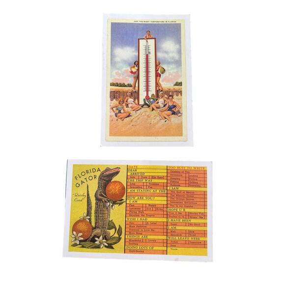 Set‎ Of 2 Vintage Florida Postcards Bathing Beauties And Florida Gator - Picture 1 of 2